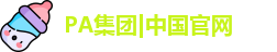 PA集团